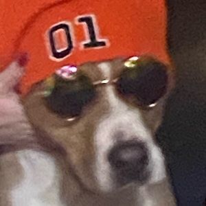 Meet your Posher, Travis